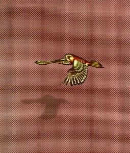 Fliegender Falke – Dieter Asmus