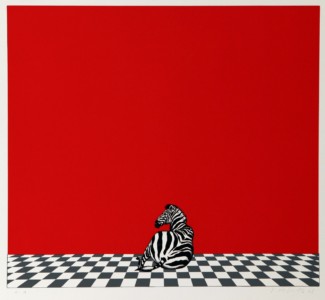 Zebra – Dieter Asmus