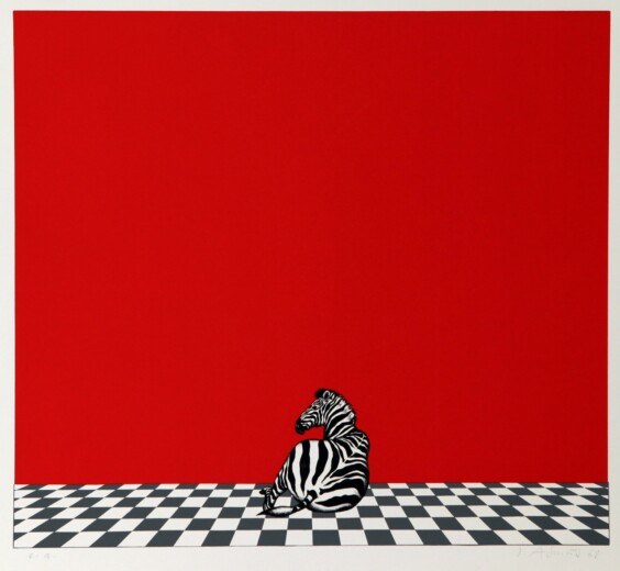 Zebra – Dieter Asmus