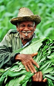 Funny Tobacco Farmer