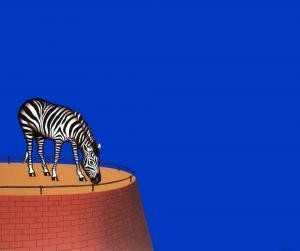 Zebra Gehege – Dieter Asmus