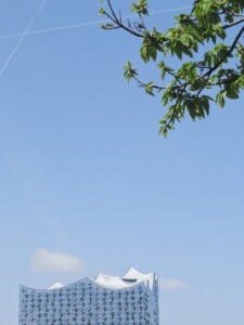 Hamburg | Elbphilharmonie under a Tree