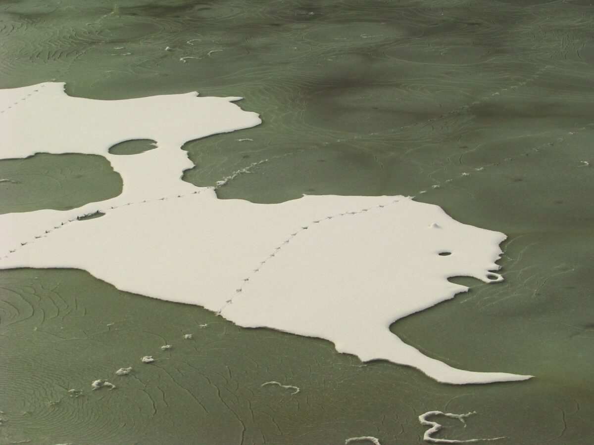 Mikel Rø Fotografie: Shapes of Water