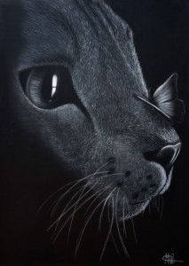 Katze