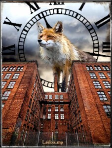 Birmingham Spy Fox
